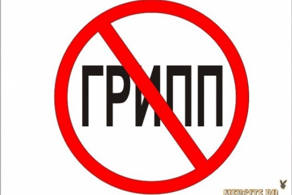 В Беларуси пока циркулируют негриппозные вирусы, грипп ожидают в декабре